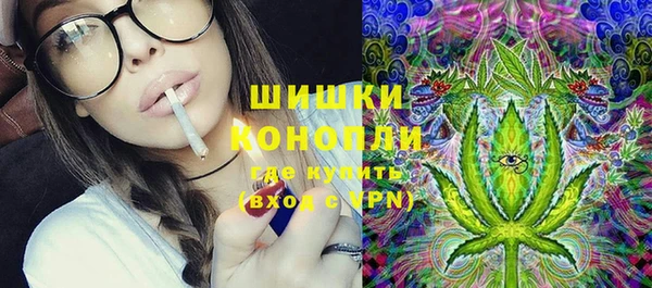 шишки Богородицк