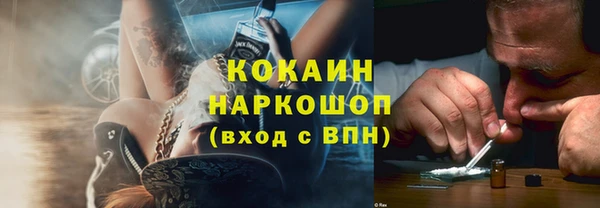 шишки Богородицк