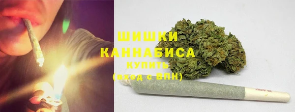 шишки Богородицк
