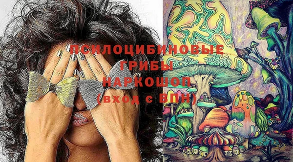 шишки Богородицк
