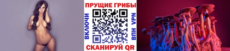 Псилоцибиновые грибы Cubensis где продают наркотики гидра как войти Когалым